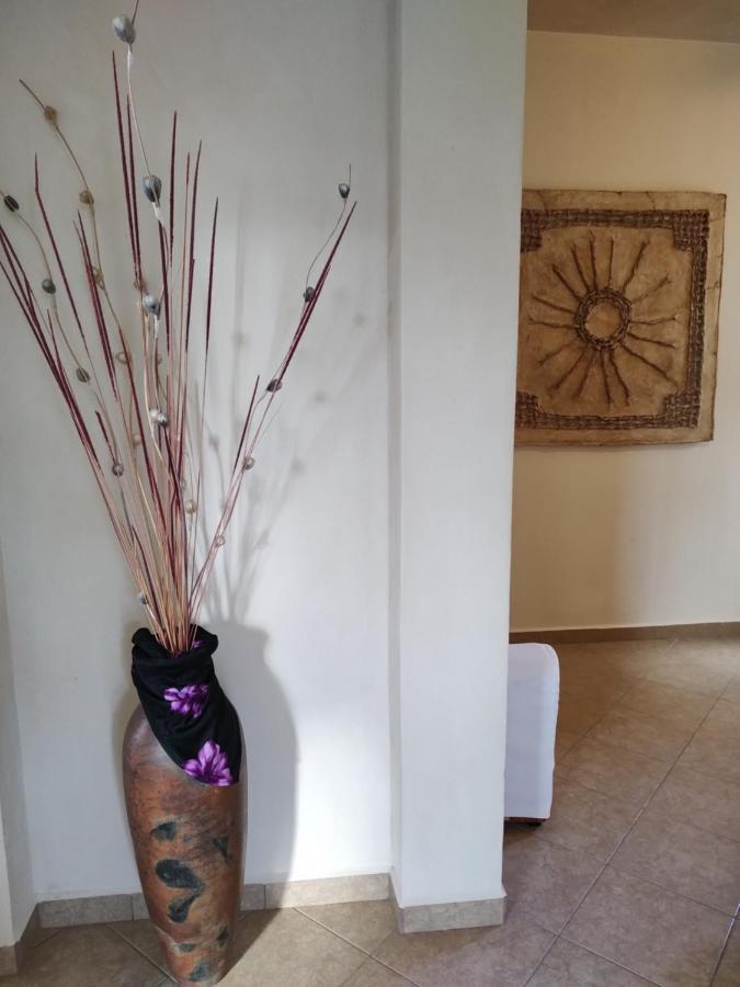 Balanca Studios Puerto Morelos Exterior foto